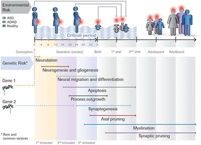 Defining Precision Medicine Approaches to Autism Spectrum Disorders: Concepts and Challenges